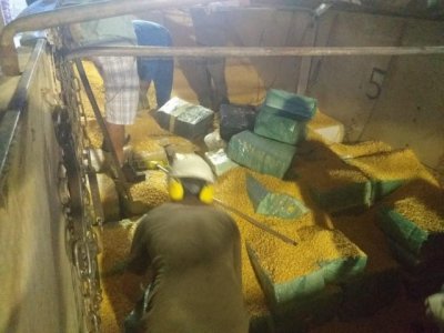 abletes de maconha estavam escondidos em meio a gros de milho. (Foto: Divulgao/Polcia Civil/ReproduoCapitanBado)