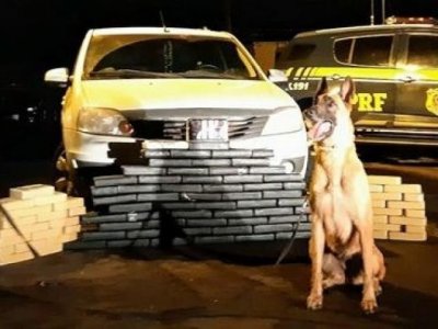 Tabletes apreendidos aps co farejador apontar droga no fundo falso do carro (Foto: PRF)