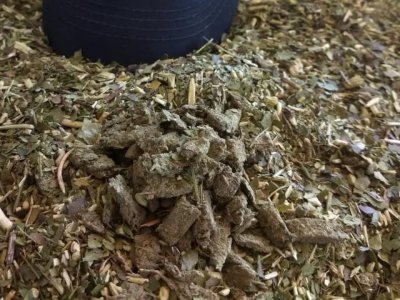 Maconha & Erva de Terer