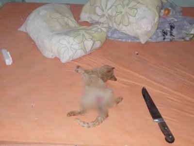 O caso foi registrado na delegacia da cidade (Foto: Rio Brilhante em Tempo Real / Olimar Gamarra)