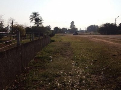 Depois do temporal, o dia amanheceu claro em Ponta Por (Foto: Direto das Ruas)