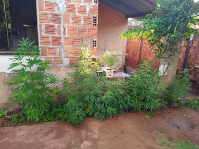 Foto: Divulgao