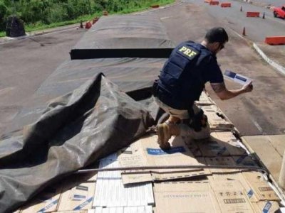 Policial confere carga de cigarros contrabandeados do Paraguai (Foto: PRF/Divulgao)