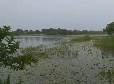 Parque Ecolgico da Lagoa Comprida em Aquidauana