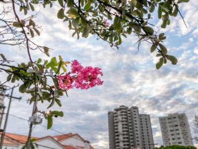 Cu parcialmente nublado em Campo Grande nesta quarta-feira (Foto: Henrique Kawaminami)