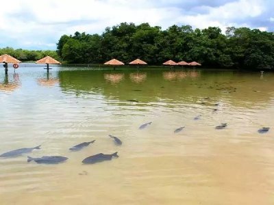 Ponto turstico na cidade de Bonito (Foto: Reproduo)