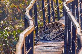 Fazenda de ecoturismo em Mato Grosso do Sul est fechada por conta da pandemia