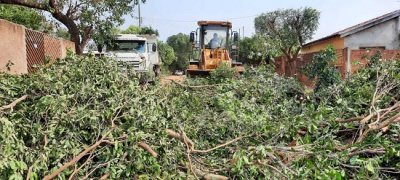 Prefeitura com apoio do Exrcito recolhe rvores que caram com temporal. (Foto: Divulgao)