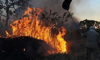 Incndios atingem vrias reas na regio do Pantanal de MS (Foto: Valter Campanato/Agncia Brasil)
