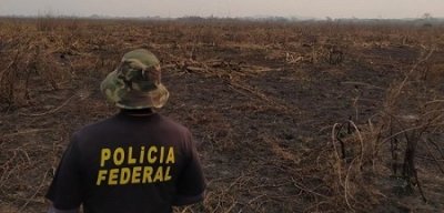 Operao apura incndios criminosos no Pantanal (Foto: PF)