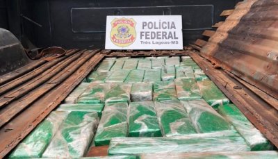 Na caminhonete estavam 157kg de maconha (Foto: Divulgao/PF)