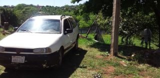 Carro e animal foram levados para a delegacia.(Foto: Divulgao)