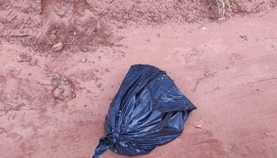 Cachorro foi colocado dentro de um saco plástico (Divulgação PC)