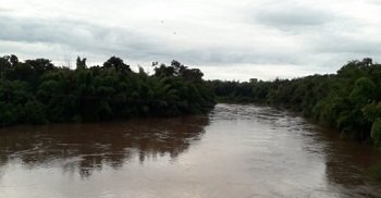 Imasul emite alerta para possibilidade de alagamento no Rio Miranda (Foto: Divulgao )