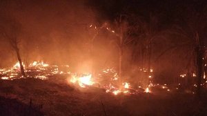 Incndios tomam conta da regio Castelo, prxima  escola Jatobazinho. - Divulgao/Corpo de Bombeiros