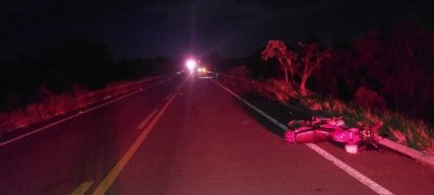 Anta no resistiu e morreu s margens da pista. (Foto: Jornal da Nova)