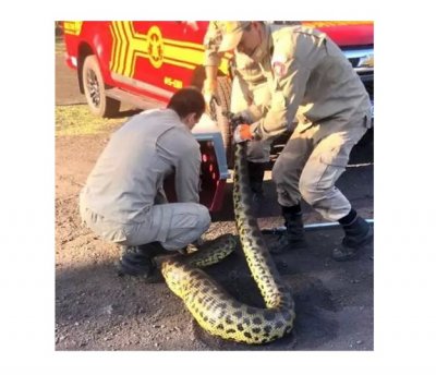 Fotos Corpo de Bombeiros de Corumb