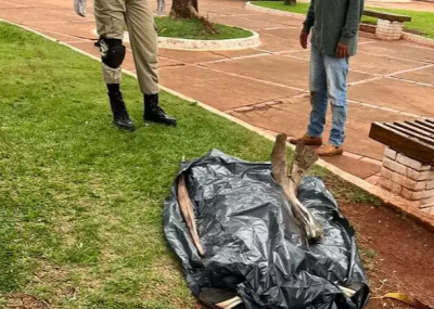 Saco preto cobrindo corpo de homem, em Sidrolndia. (Foto: Sidrolndia News)