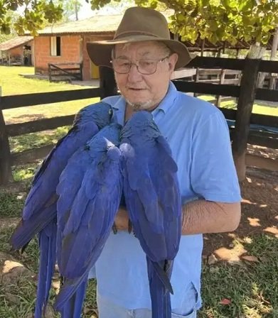 Segundo Ibama, dono do balnerio usa arara para receber turistas (Foto: Reproduo/Onde Ir em Bonito)