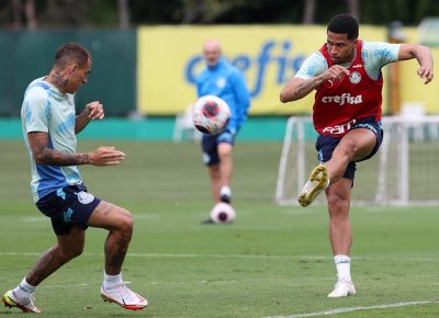 Foto divulgao Palmeiras