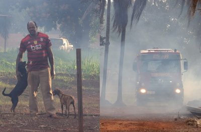 Apenas a me dos filhotes e outro cachorro que vive com o caseiro conseguiram se salvar do incndio. (Foto: Ksie Aino/ Midiamax)