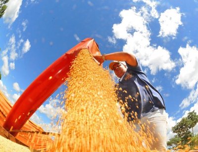 Colheita de soja  uma das opes de trabalho - Foto divulgao