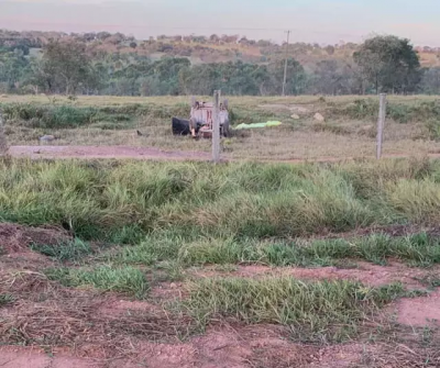 Carro capotado em rea de vegetao, s margens da MS-340. (Foto: Idest)