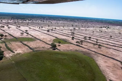 rea de desmatamento identificada bem ao lado de regio alagada. (Foto: SOS Pantanal/Arquivo)