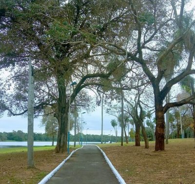 Foto Diego Cremonezi (Parque da Lagoa Comprida)