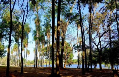 Parque da Lagoa comprida em Aquidauana