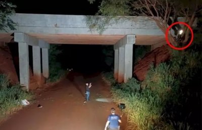 A motocicleta que o casal utilizava ficou pendurada em rvore (Foto: MS News)