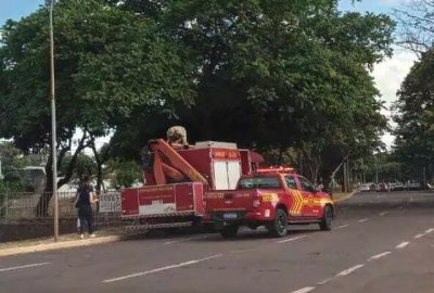 Equipes dos bombeiros s margens de crrego durante resgate. (Foto: Direto das Ruas)