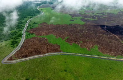 rea desmatada, onde foi retirada a vegetao do solo (Foto: Divulgao/Instituto Delta do Salobra)