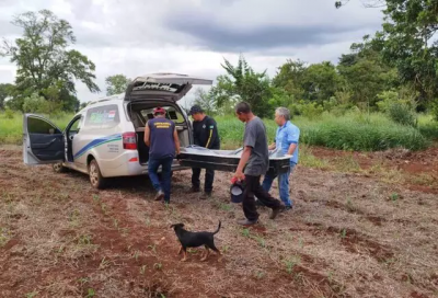 Funerria colocando vtima em carro aps trabalhos da percia. (Foto: Osvaldo Duarte)