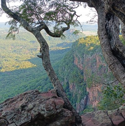 Foto divulgação