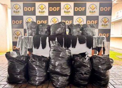 Produtos foram apreendidos e encaminhados  Polcia Federal (Foto: Divulgao/DOF)