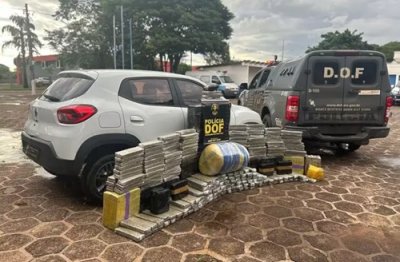 Carga de droga apreendida por equipe do DOF em uma das ações este ano ( Foto: Arquivo/Sejusp)