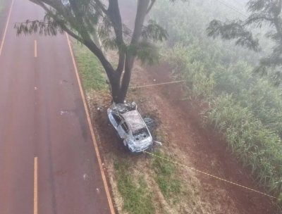 Do alto, imagem mostra estado em que ficou carro carbonizado (Foto: Leandro Holsbach)
