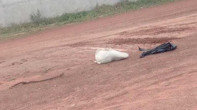 Cad�ver dentro de saco em rua de terra (Foto: Direto das Ruas)